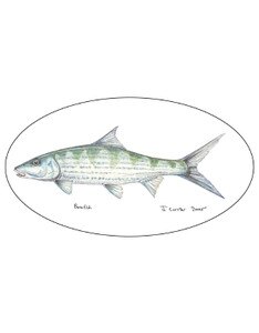Pescador On The Fly Bonefish Decal in Bonefish